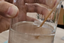 Žáci 8. tříd izolovali DNA z banánu