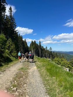 IMG 2968