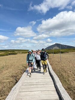 IMG 4433