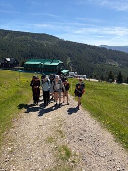 IMG 4511