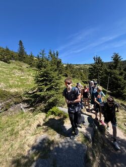 IMG 4518