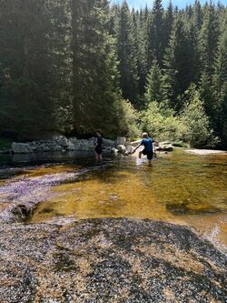 IMG 4567
