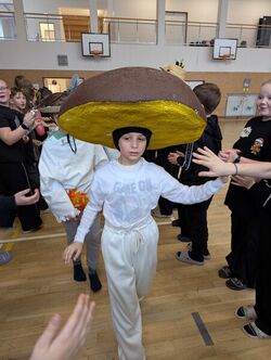 PXL 20260213 091044031