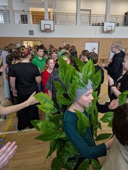 PXL 20260213 091331511