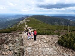 IMG 20260520 131719