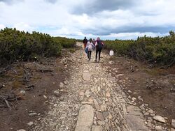 IMG 20260520 133002