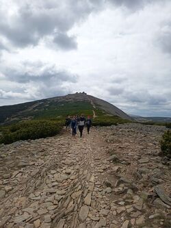 IMG 20260520 133615