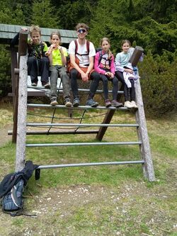 IMG 20260520 145614