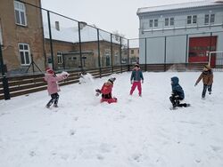 PXL 20260109 131752536