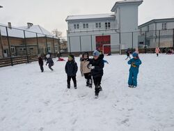 PXL 20260109 133005221