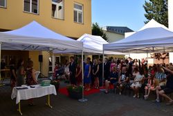 DSC 0255-1384-1200-900-90-center-middle