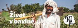 Život v_bavlně