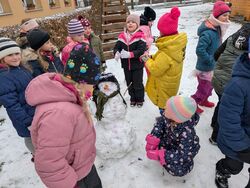 PXL 20250214 133359924