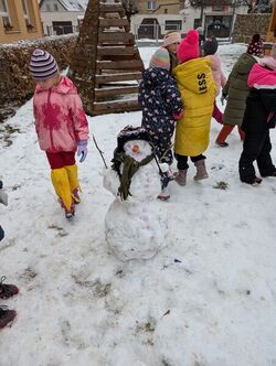 PXL 20250214 133403370