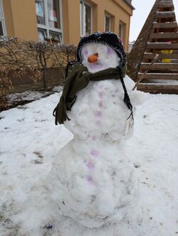 PXL 20250214 134318238