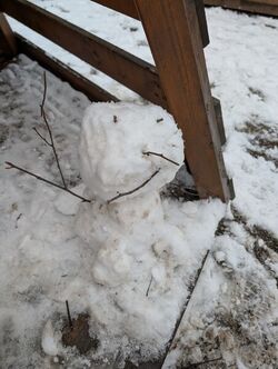 PXL 20250214 134950603